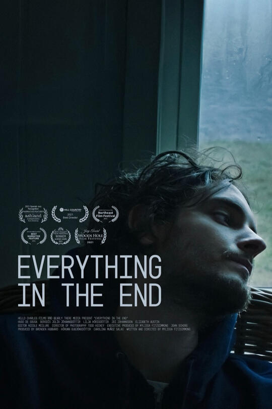 mylissa fitzsimmons&#39; everything in the end